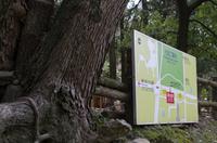 Ankunft an der Bushaltestelle Todai-ji Daibutsuden und gemeinsamer Spaziergang durch den Nara-Park