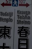 Gemeinsamer Spaziergang durch den Nara-Park