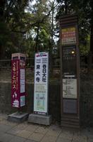 Gemeinsamer Spaziergang durch den Nara-Park