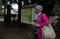 Gemeinsamer Spaziergang durch den Nara-Park