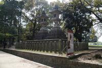 Gemeinsamer Spaziergang durch den Nara-Park