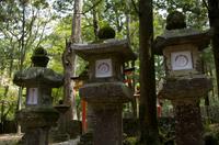 Gemeinsamer Spaziergang durch den Nara-Park