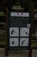 Gemeinsamer Spaziergang durch den Nara-Park