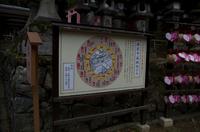 Gemeinsamer Spaziergang durch den Nara-Park