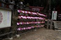 Gemeinsamer Spaziergang durch den Nara-Park