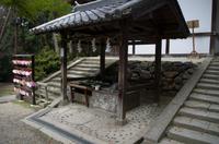 Gemeinsamer Spaziergang durch den Nara-Park