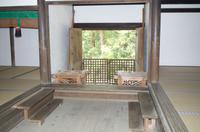 Gemeinsamer Spaziergang durch den Nara-Park