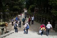 Gemeinsamer Spaziergang durch den Nara-Park