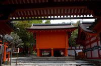 Gemeinsamer Spaziergang durch den Nara-Park