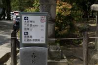 Gemeinsamer Spaziergang durch den Nara-Park