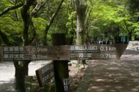 Gemeinsamer Spaziergang durch den Nara-Park