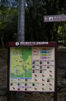 Gemeinsamer Spaziergang durch den Nara-Park