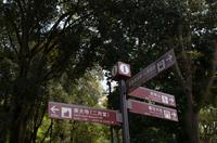 Gemeinsamer Spaziergang durch den Nara-Park