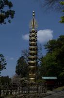 Gemeinsamer Spaziergang durch den Nara-Park