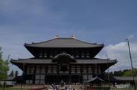 Gemeinsamer Spaziergang durch den Nara-Park