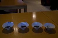 Tee-Zeremonie im Fukujuen in Kyoto