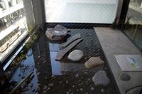 Tee-Zeremonie im Fukujuen in Kyoto