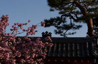 Spaziergang und Freizeit in Kyoto