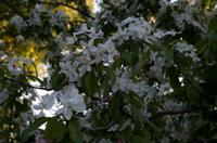 Spaziergang und Freizeit in Kyoto