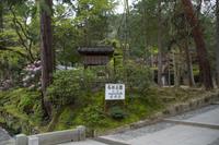 Besichtigung des Tempels Nanzen-ji