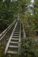 Besichtigung des als Goldenen Pavillon bekannten Tempels Kinkaku-ji