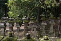 Gemeinsamer Spaziergang durch den Nara-Park