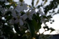 Spaziergang und Freizeit in Kyoto