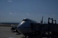 Rückflug von Osaka nach Frankfurt Am Main