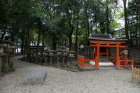 Gemeinsamer Spaziergang durch den Nara-Park