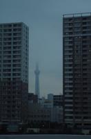Tokyo - City - Sky Tree