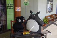 Mein Nachbar Tottoro