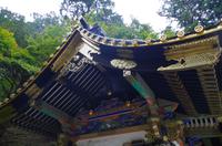 Schrein - Tokugawa Iemitsu