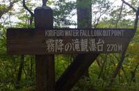 Kirifuri Wasserfall - Nikko