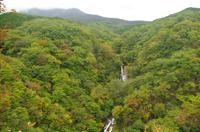 Kirifuri Wasserfall - Nikko