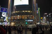 Shibuya - Riesenkreuzung