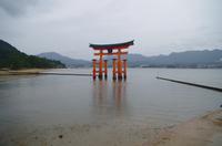 Torii des Itsukushima-Schreins - Miyajima