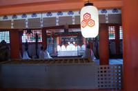 Gebete im Itsukushima-Schrein