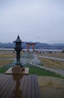 Itsukushima-Schrein und Torii