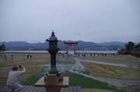 Itsukushima-Schrein und Torii