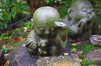 Tierkreiszeichen - Affe