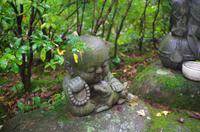 Tierkreiszeichen - Hund