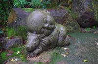 Tierkreiszeichen - Schwein