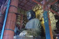 Daibutsu - Nara