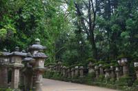 japanische Schrein-Laternen - Nara