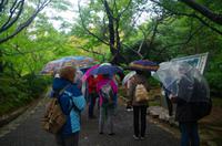 Wir im Garten des Ryoanji - Kyoto