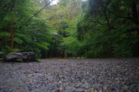 Ryoanji-Garten - Kyoto