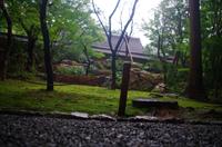 Ryoanji-Garten - Kyoto