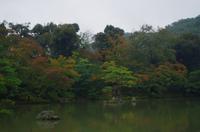 Garten des Kinkaku-ji - Kyoto