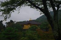 Kinkaku-ji - Goldener Pavillon - Kyoto