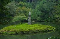 Garten des Kinkaku-ji - Kyoto